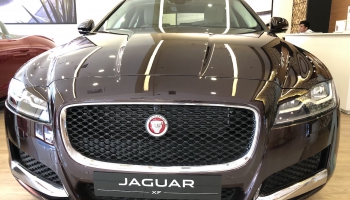 Xe Jaguar XF Prestige Đỏ Mận/Kem Mới 100%